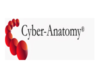 Cyber Anatomy